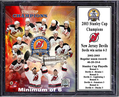 New Jersey Devils 2003 Stanley Cup Champions (DVD, 2003) for sale online